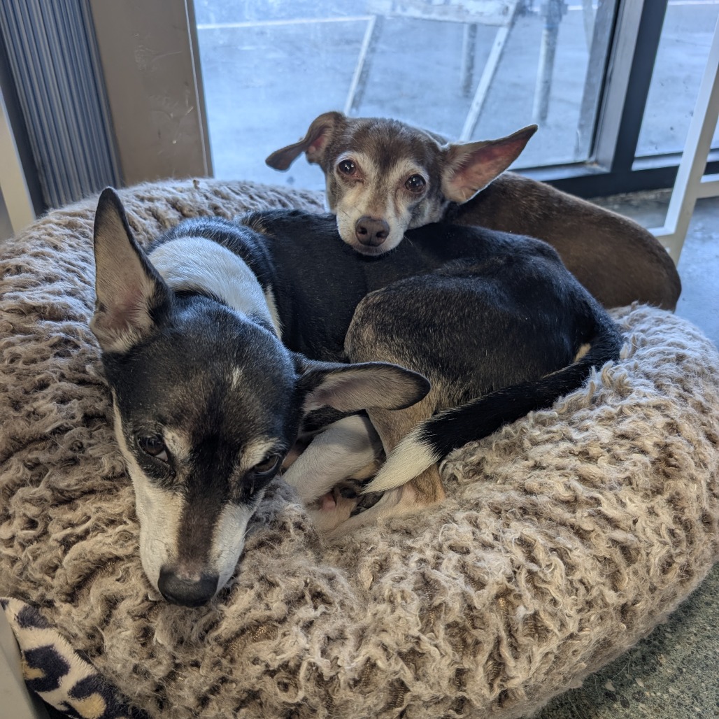 Jake — thumbnail 5