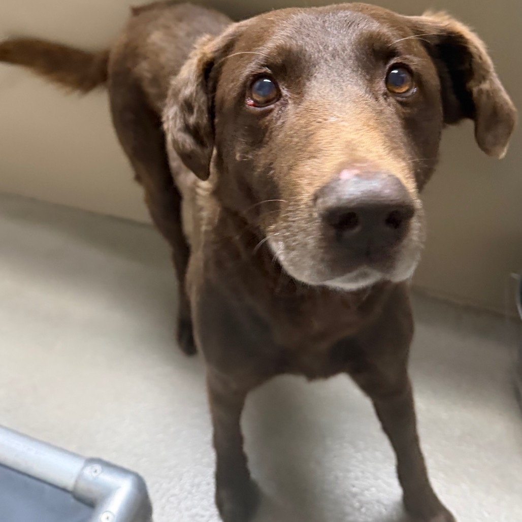 Kennel#11(Tuff)'s preview photo