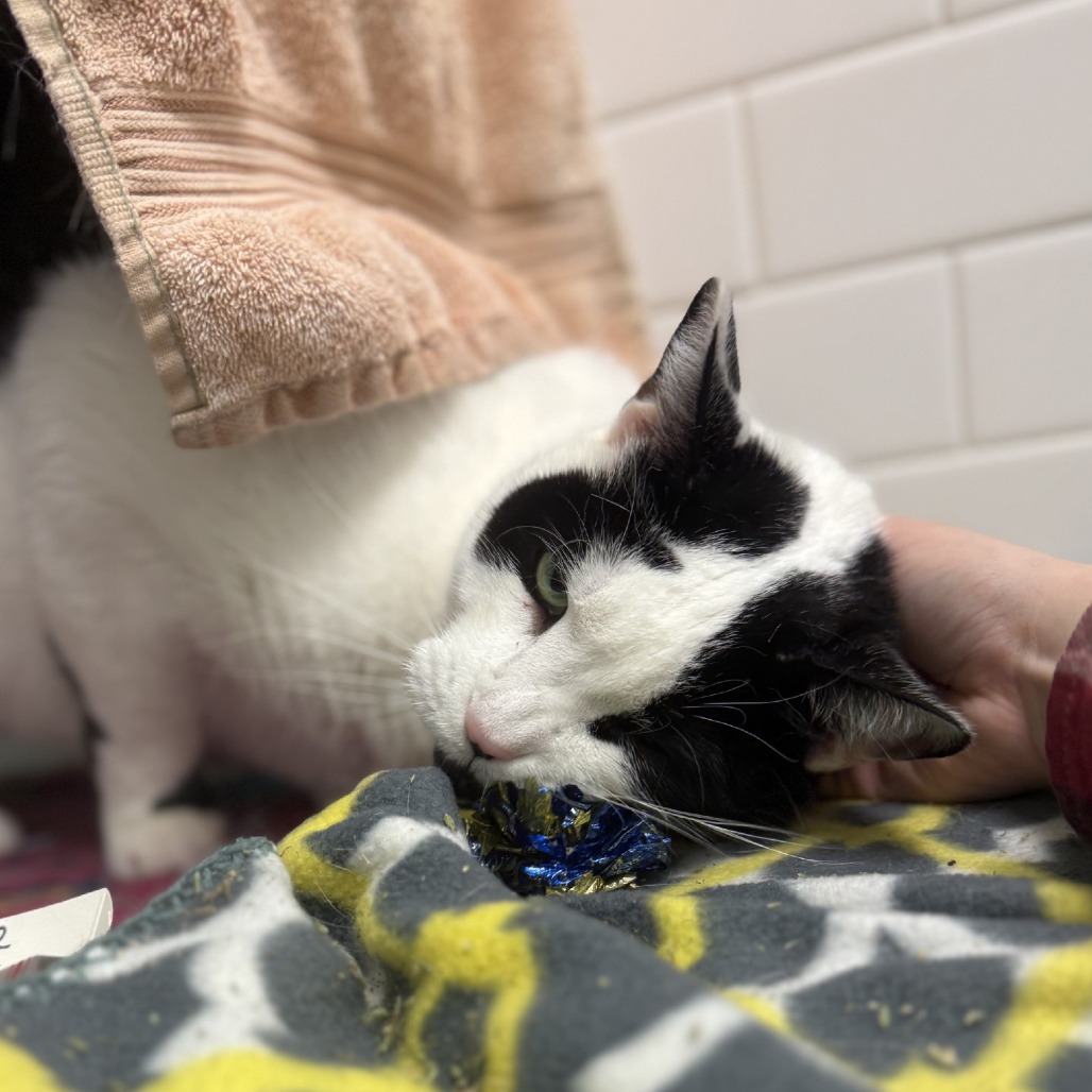 Photo of QZ and Freddy 9