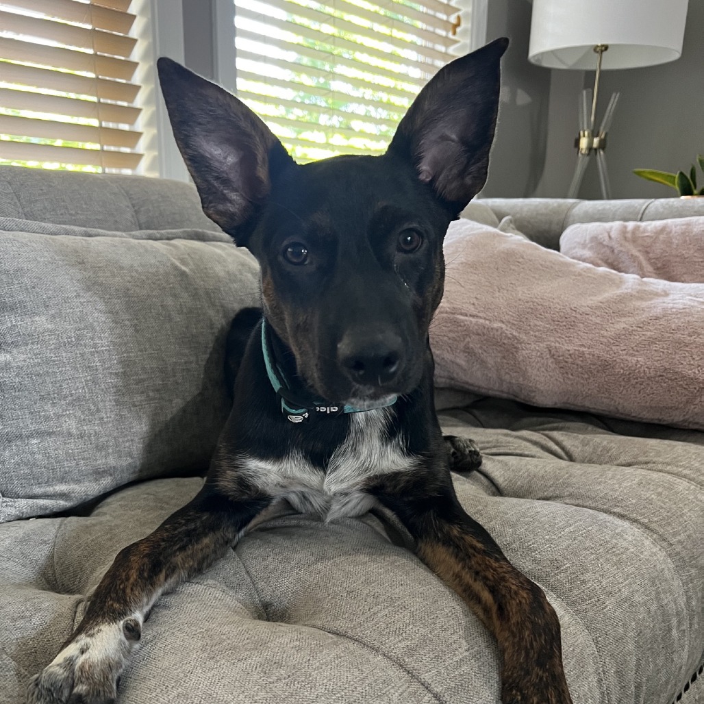 Buckee, photo 11