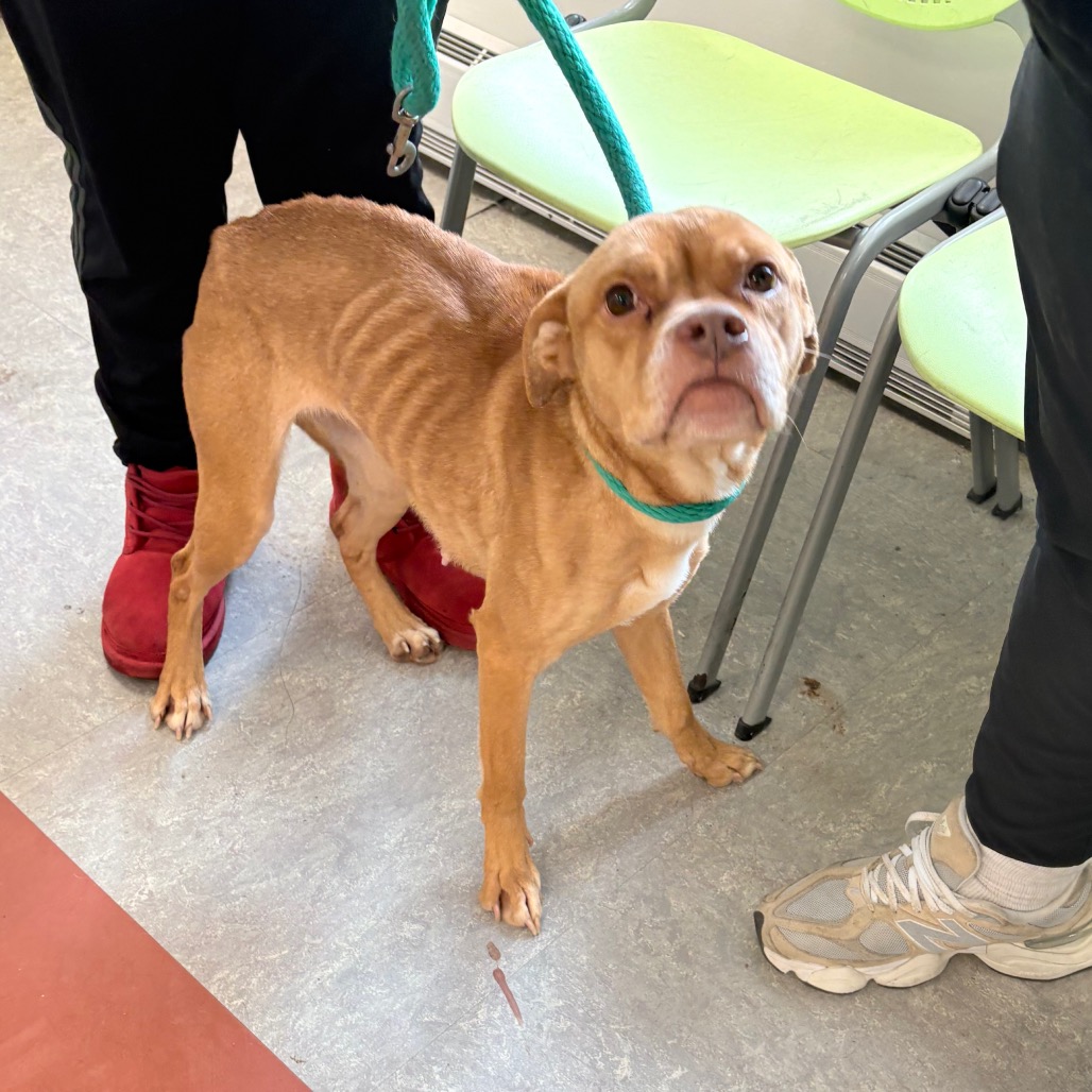 Nani — thumbnail 2