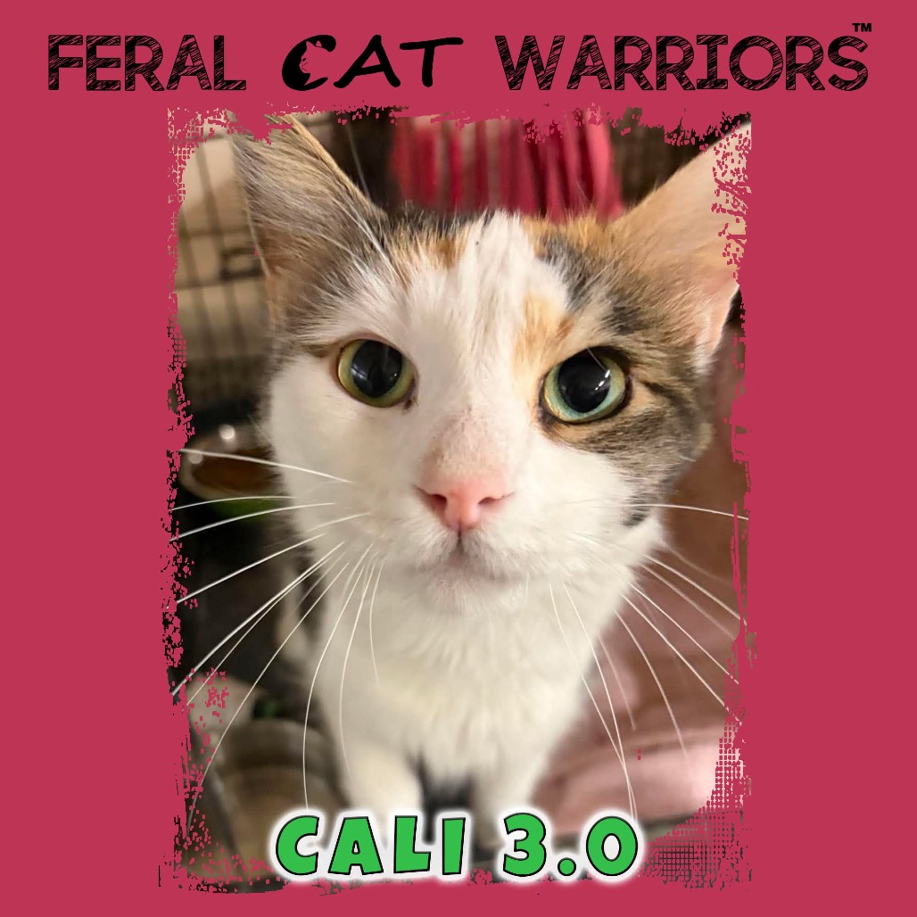 Cali 3.0