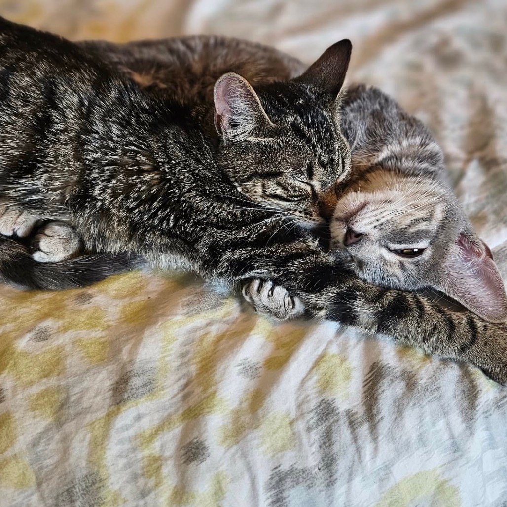 Louise — thumbnail 3