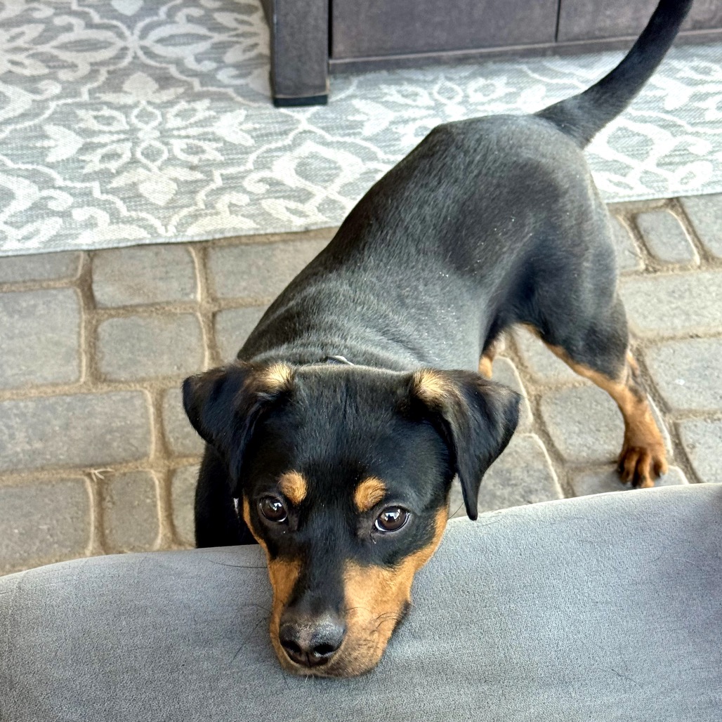 Bentley, photo 6