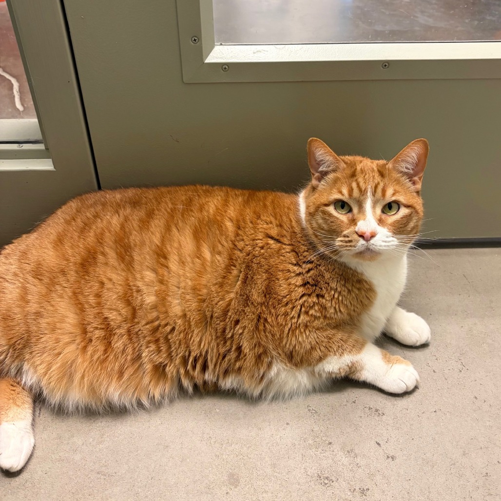 Photo of Freddy and QZ 16