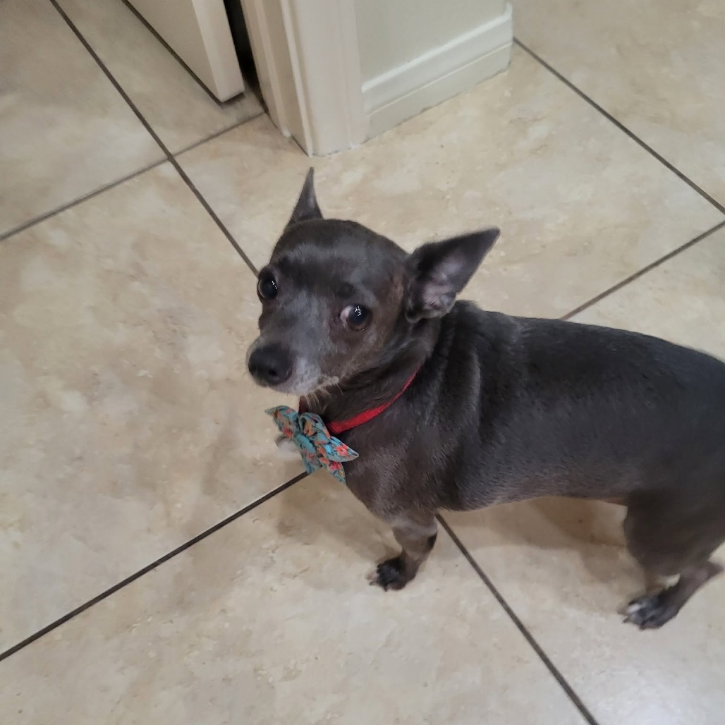 Mavis, photo 3