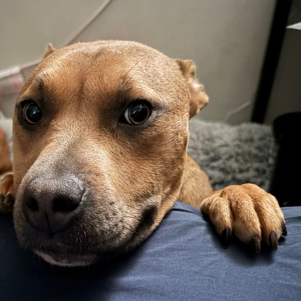 Sprinkles — thumbnail 5