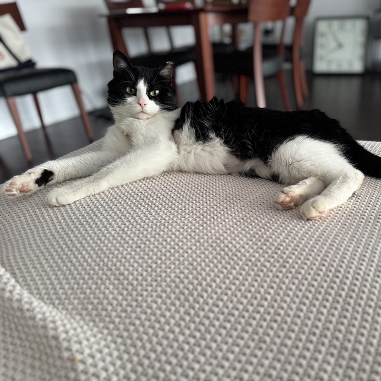 Harding — thumbnail 5