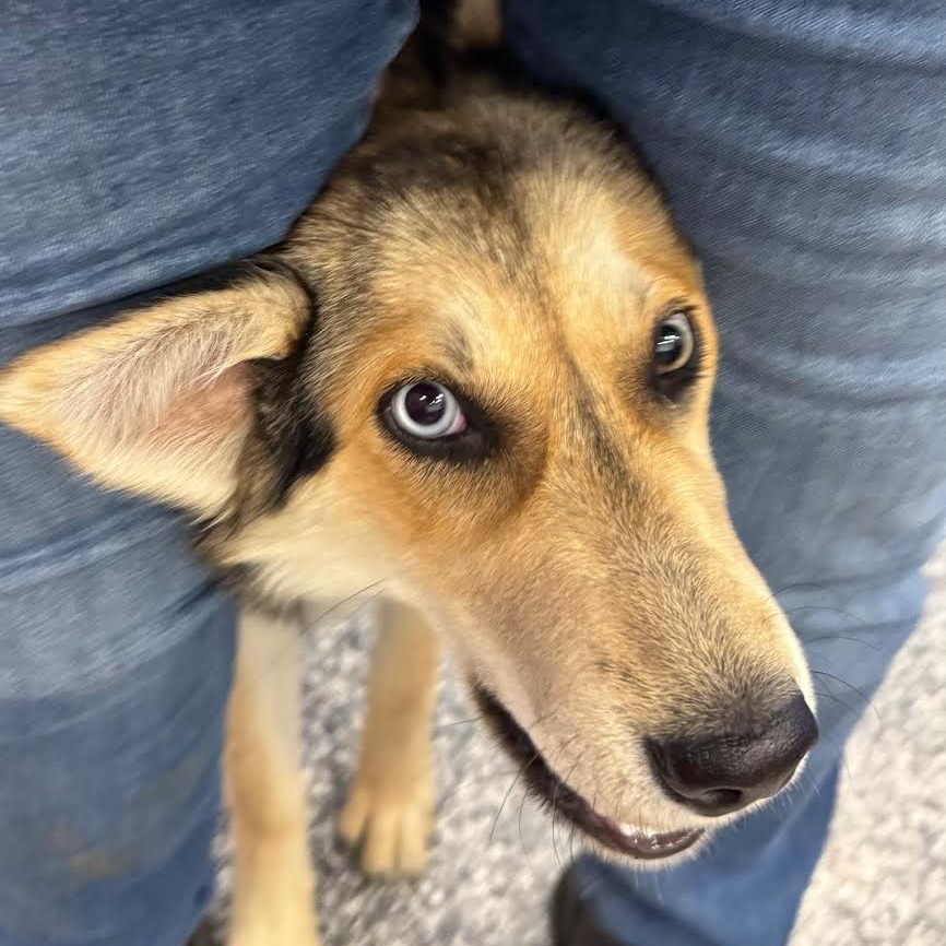 Lita — thumbnail 5