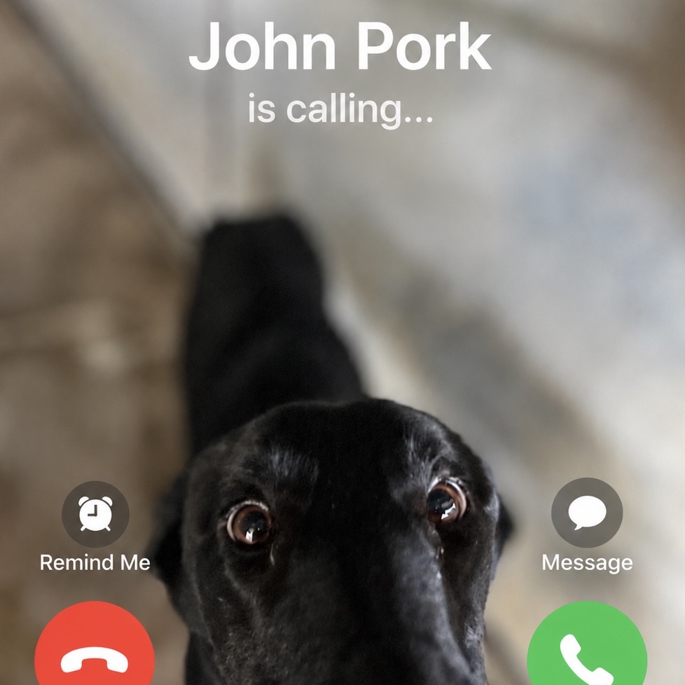 John Pork, photo 4