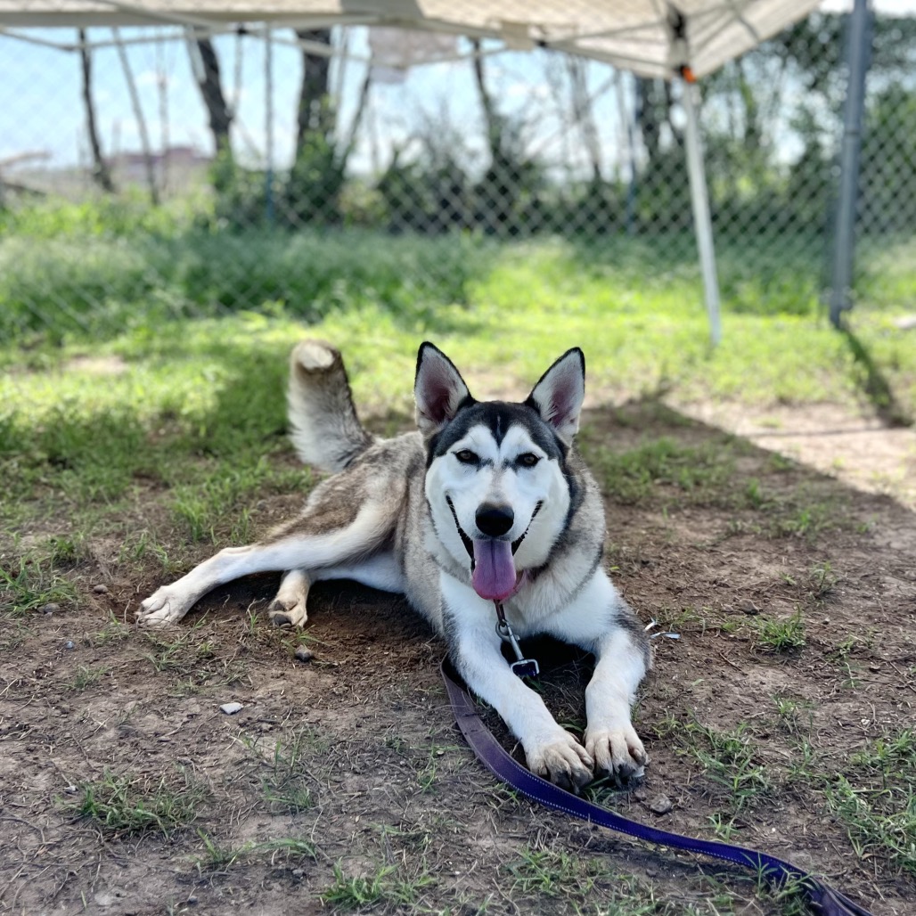 Janie