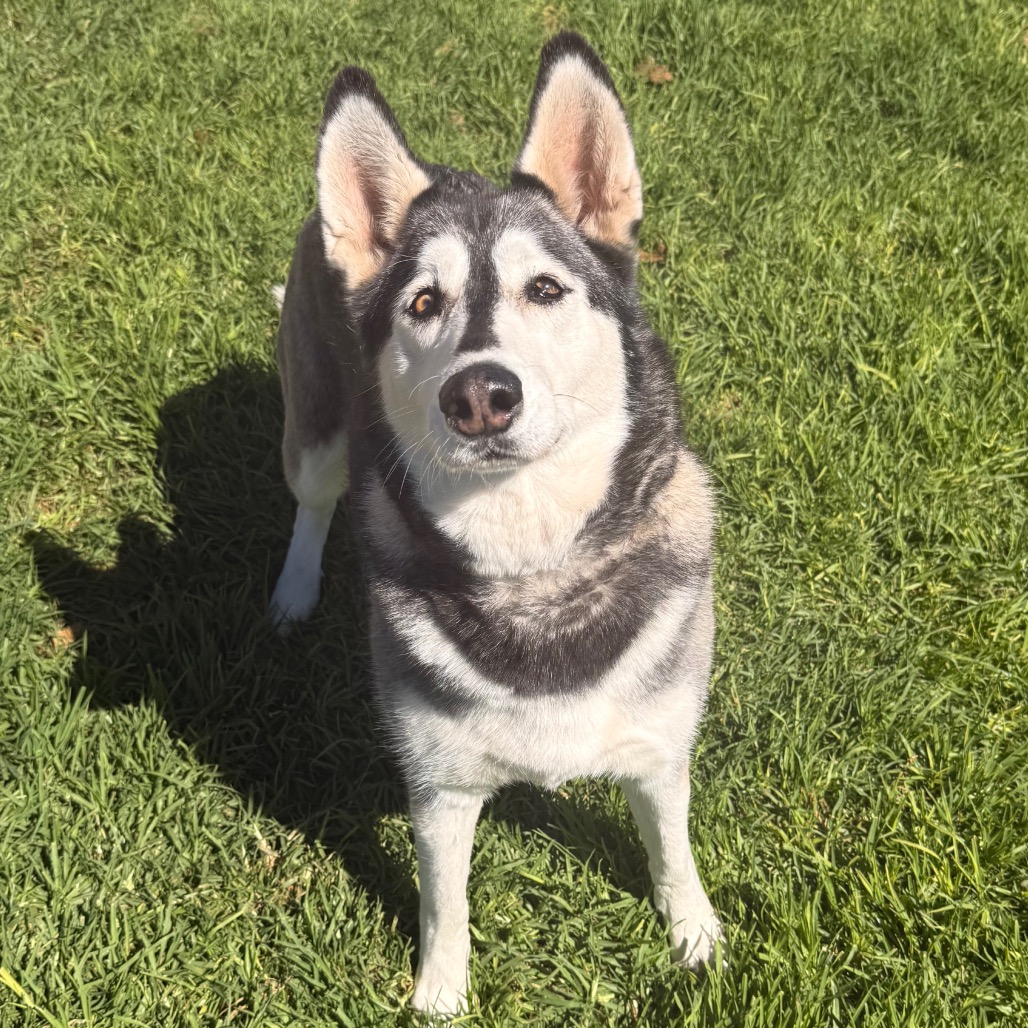 Tundra, photo 7