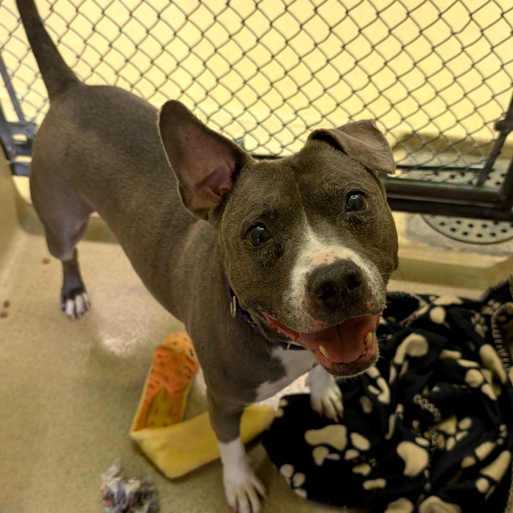 Wednesday - IN FOSTER, photo 2