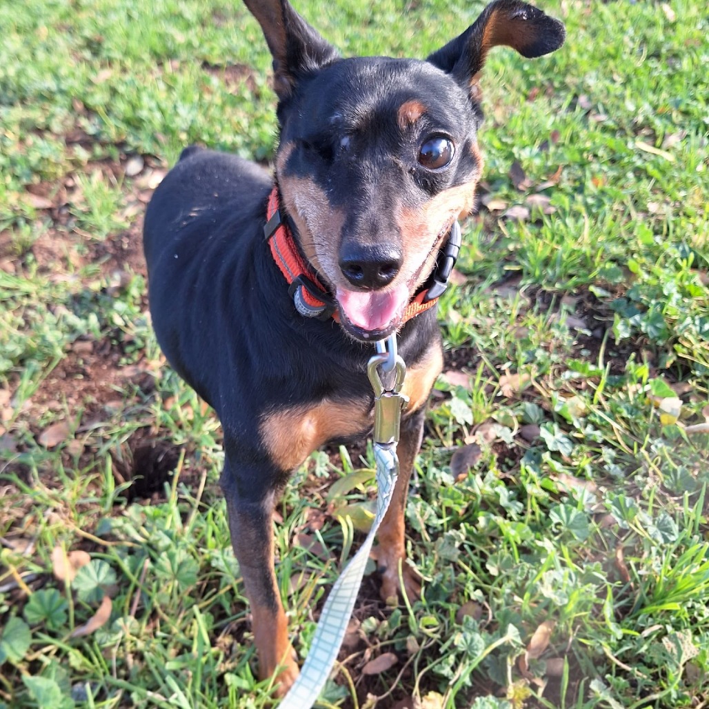 HOOK — thumbnail 3