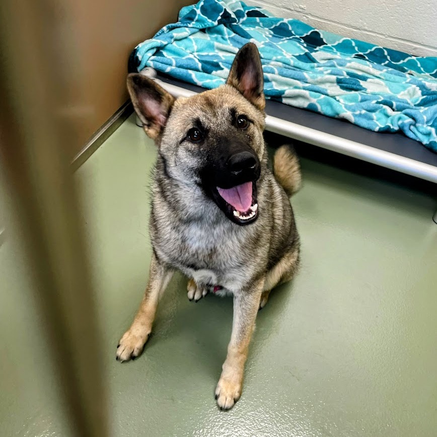 Biggz — thumbnail 2