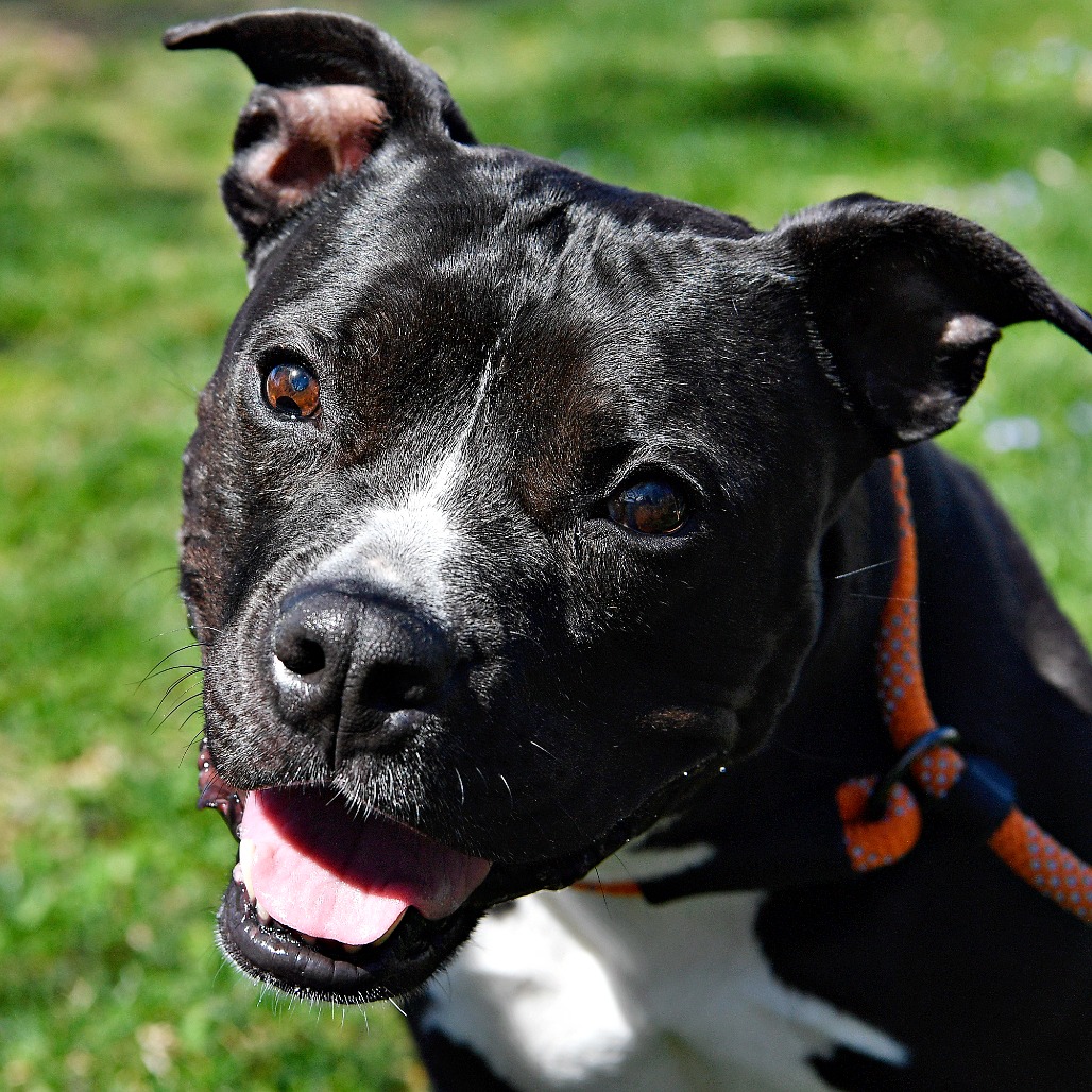 fa5c83073b432afd43683e82db757842