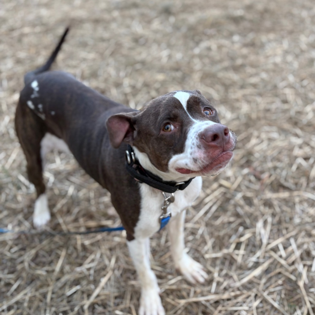 Reese — thumbnail 4