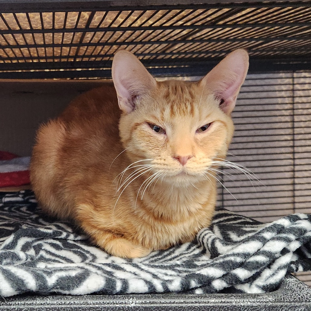 Sunlight — thumbnail 5