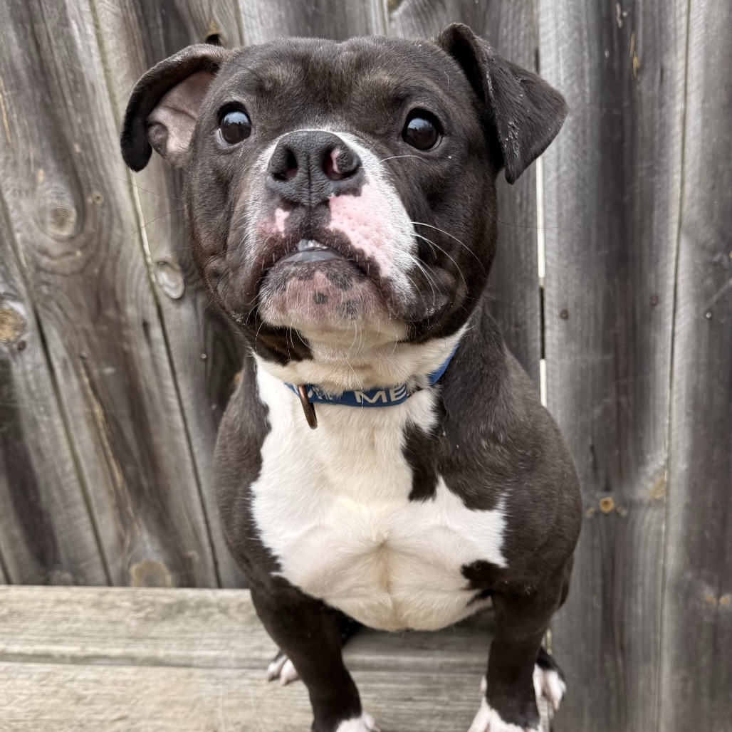 Mark — thumbnail 6