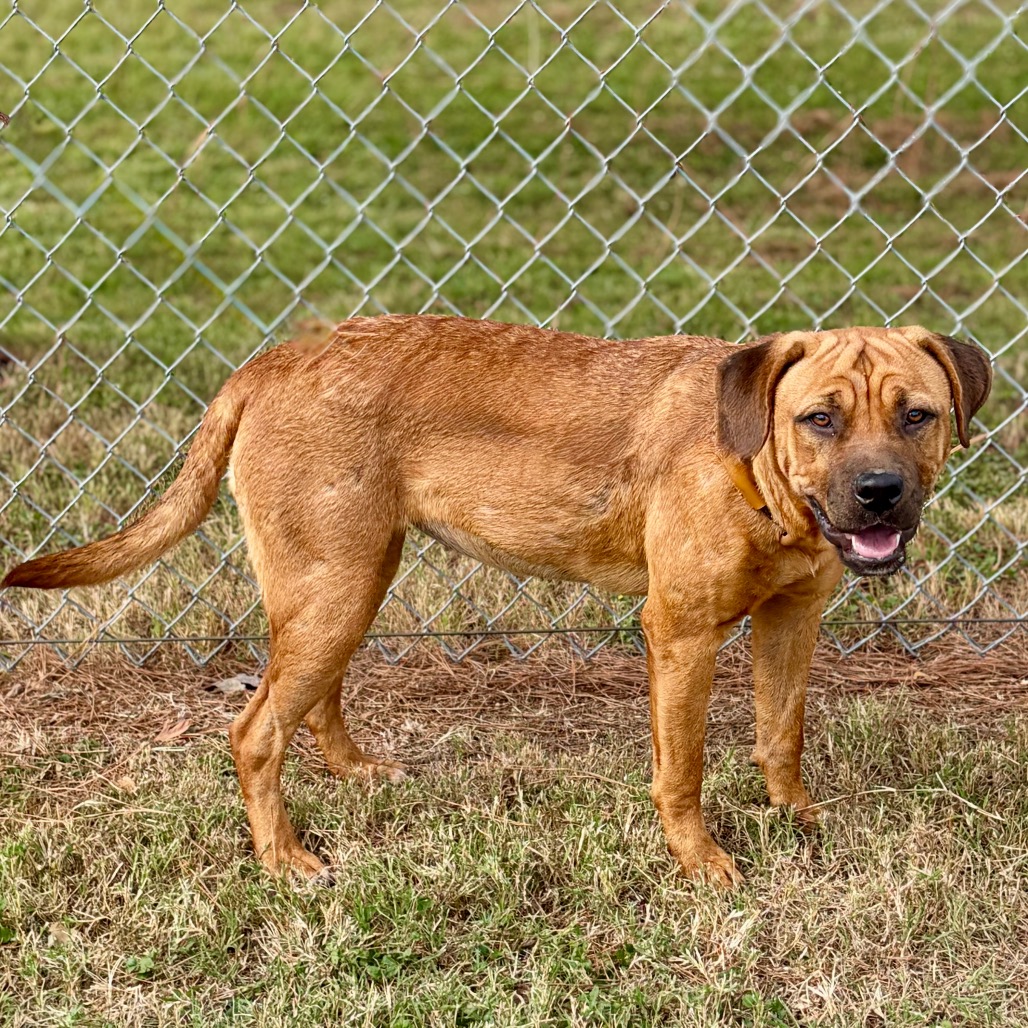 Athena 26-09-108, photo 10