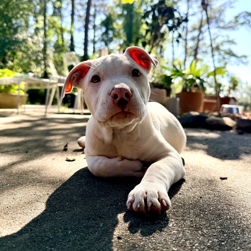 Little Ray of Sunshine, photo 3