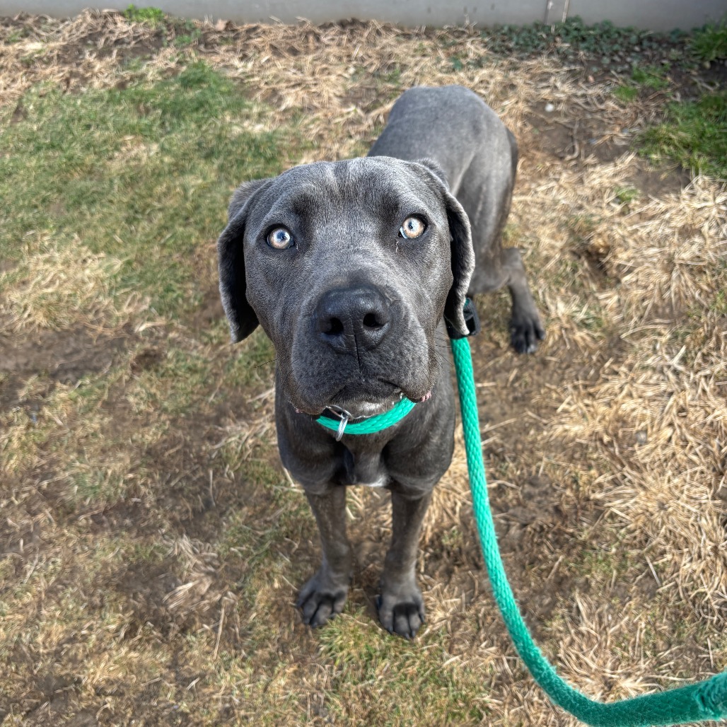 Jos Scarborough — thumbnail 3