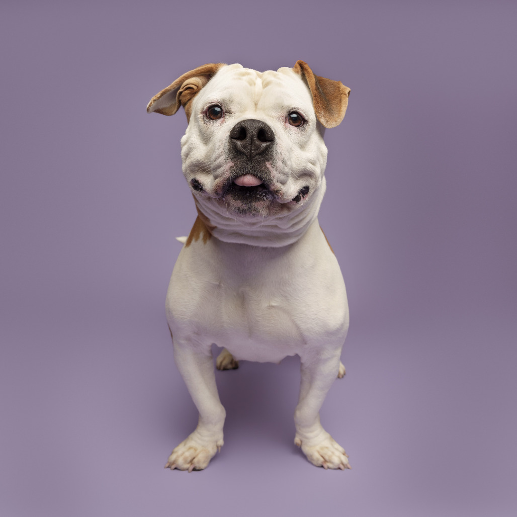 Photo of June Bug 7