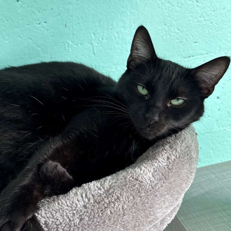 Close-up photo of Sundae