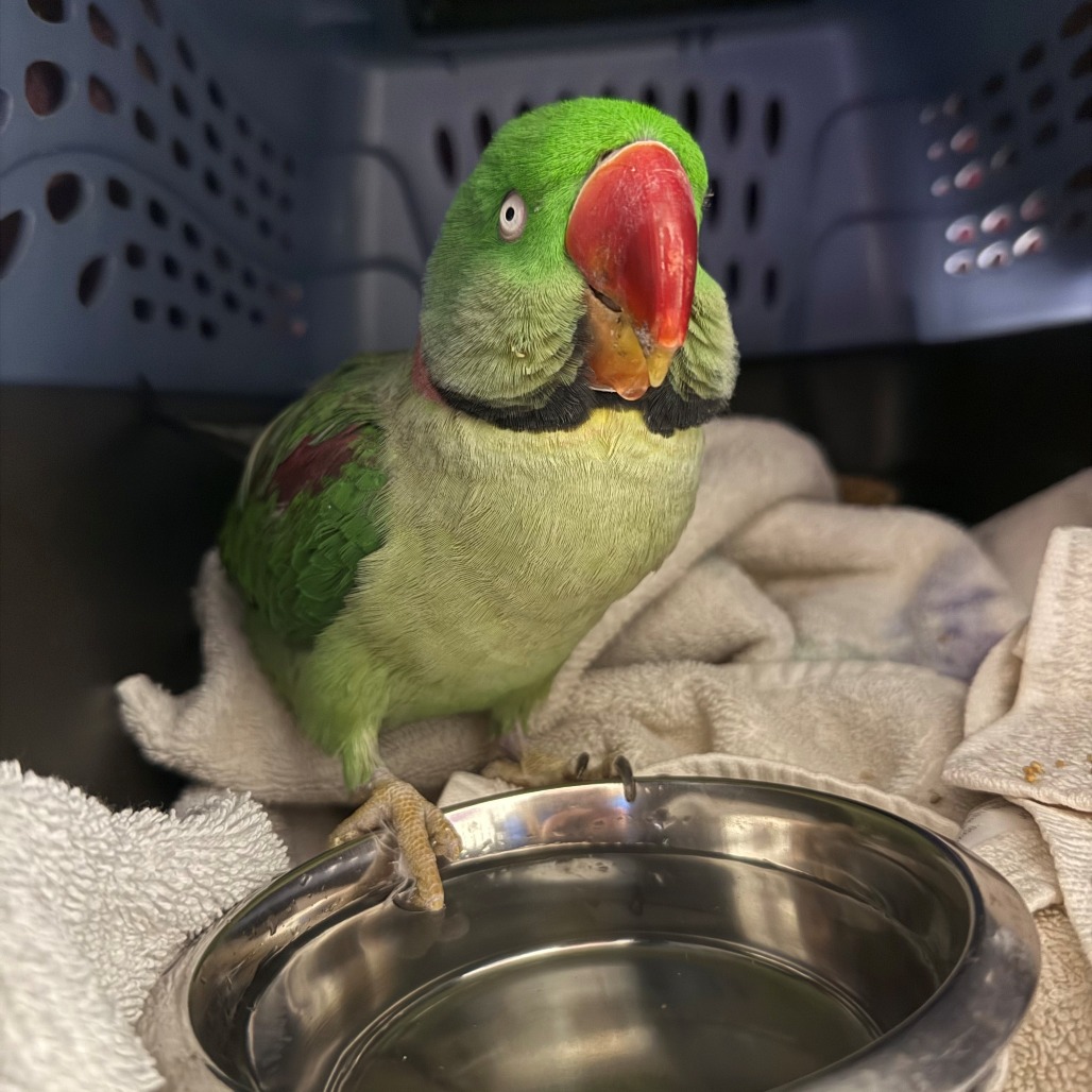 d26ce7b048b0317d87d3b1174e2bb47b