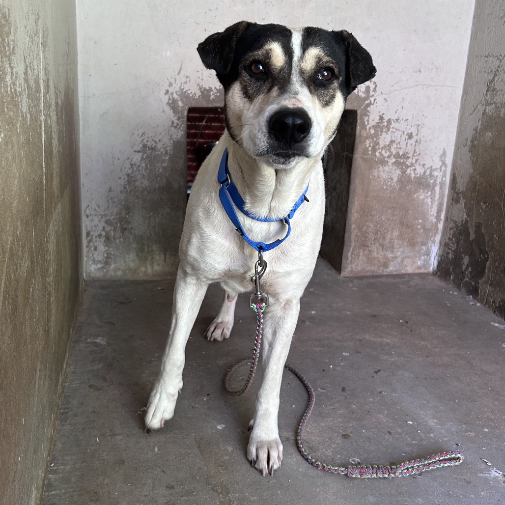 Regina George — thumbnail 8