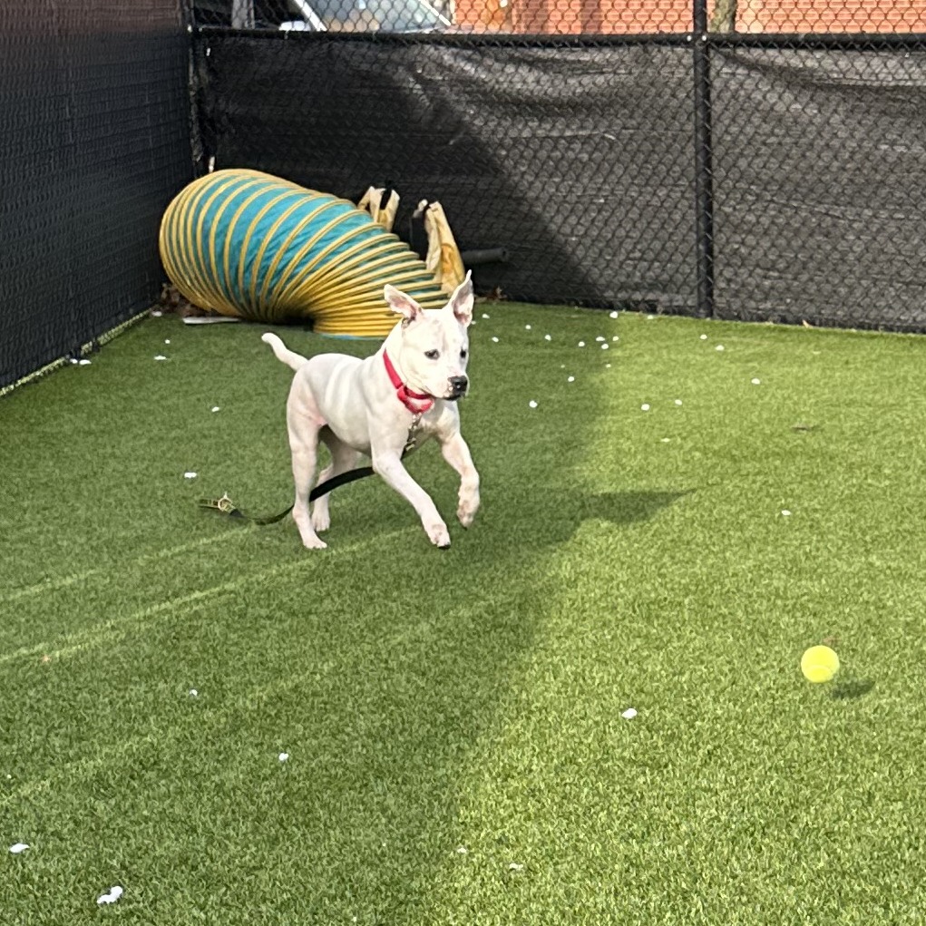 Photo of Betty White 9