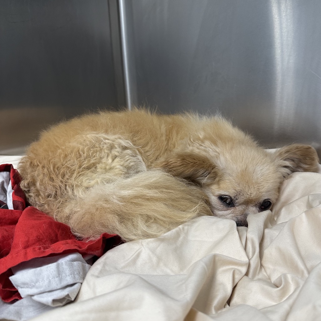 Alicia — thumbnail 2