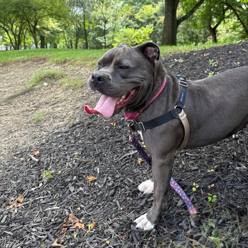 Photo of Ember 11