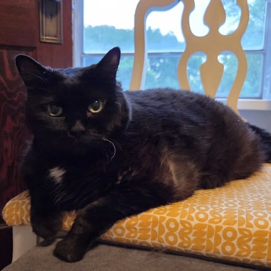 Pillsbury--In Foster