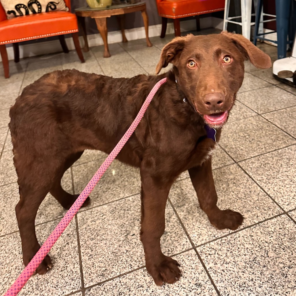 Eleanor — thumbnail 2