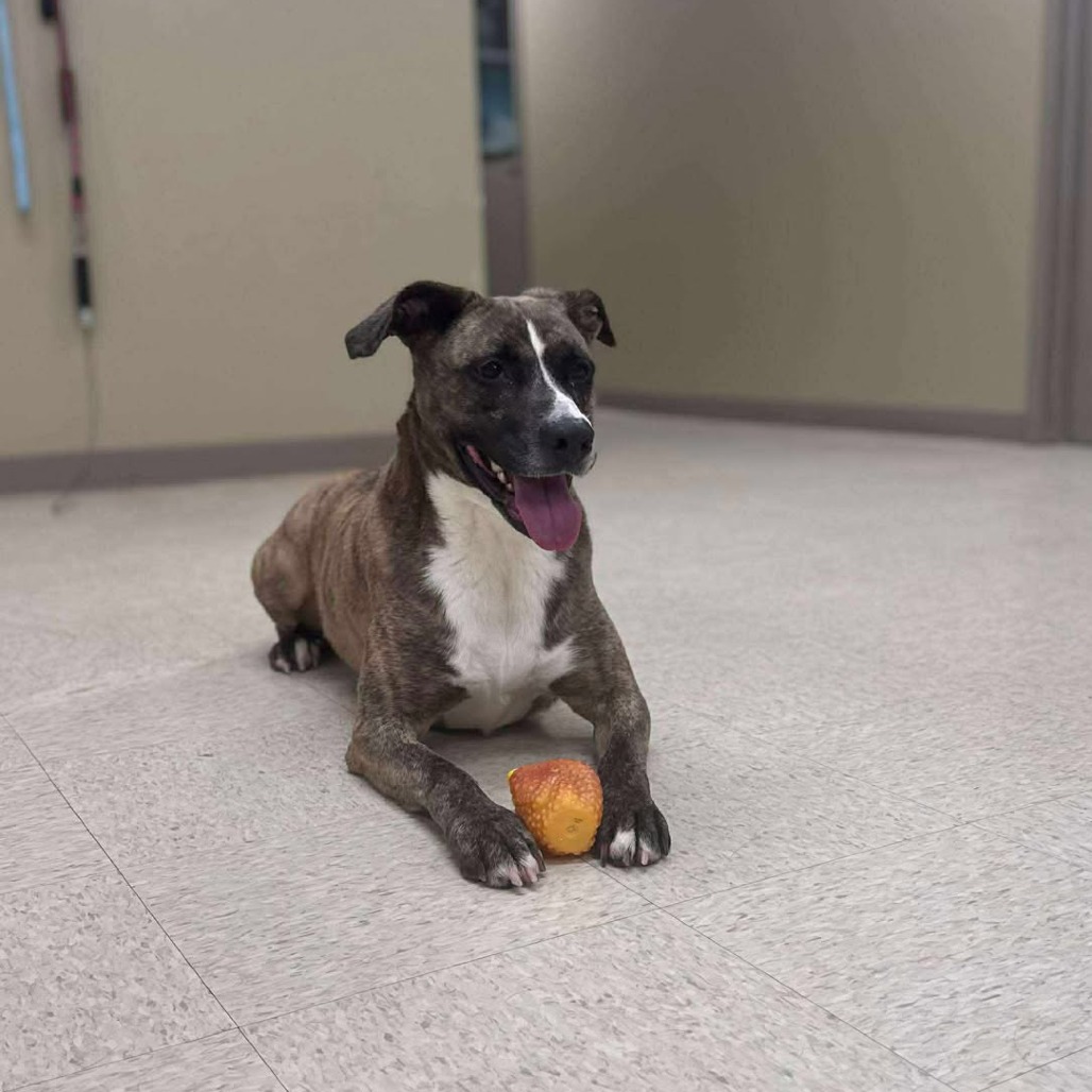 Mash — thumbnail 5