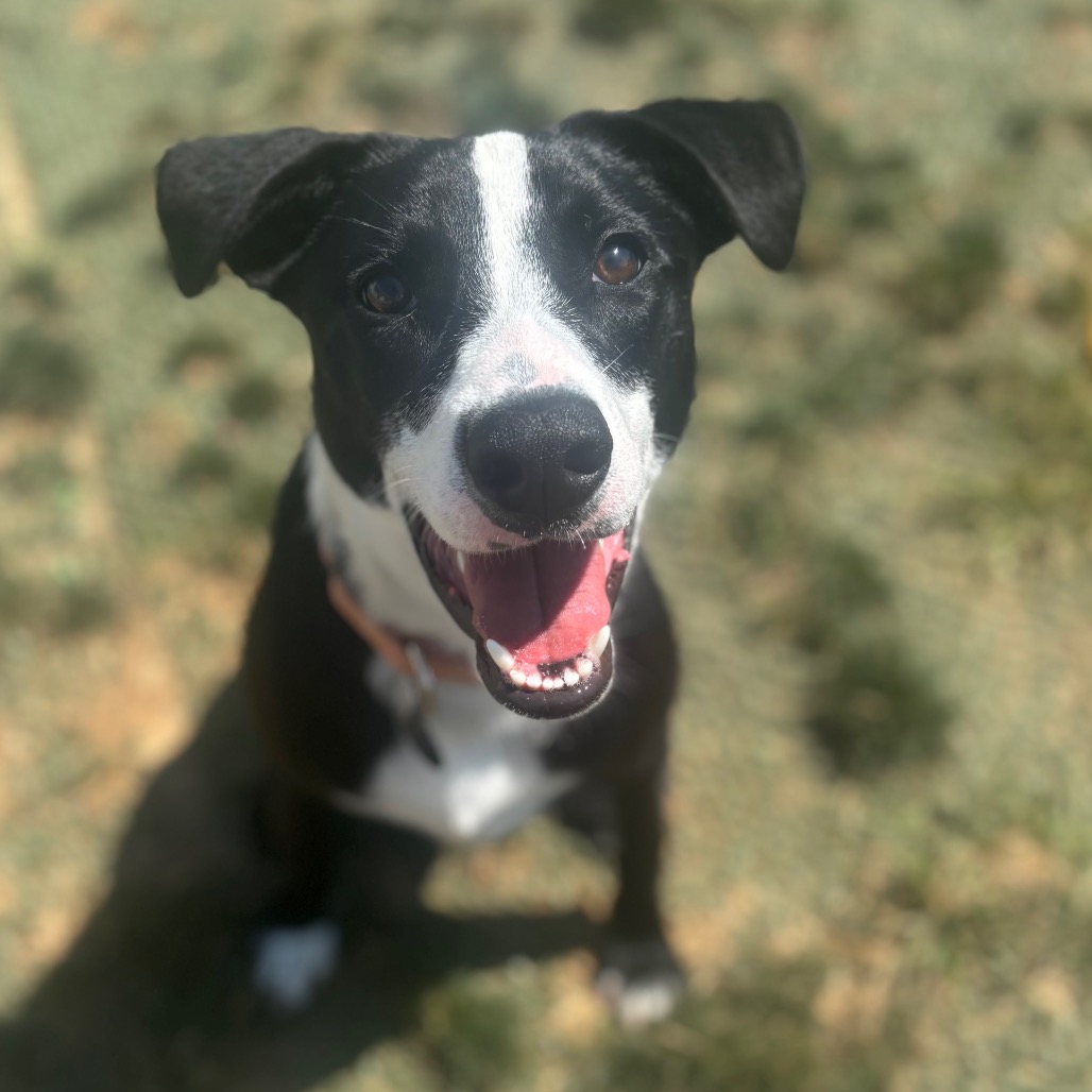 Esther