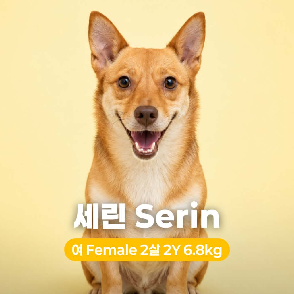Serin Hw+