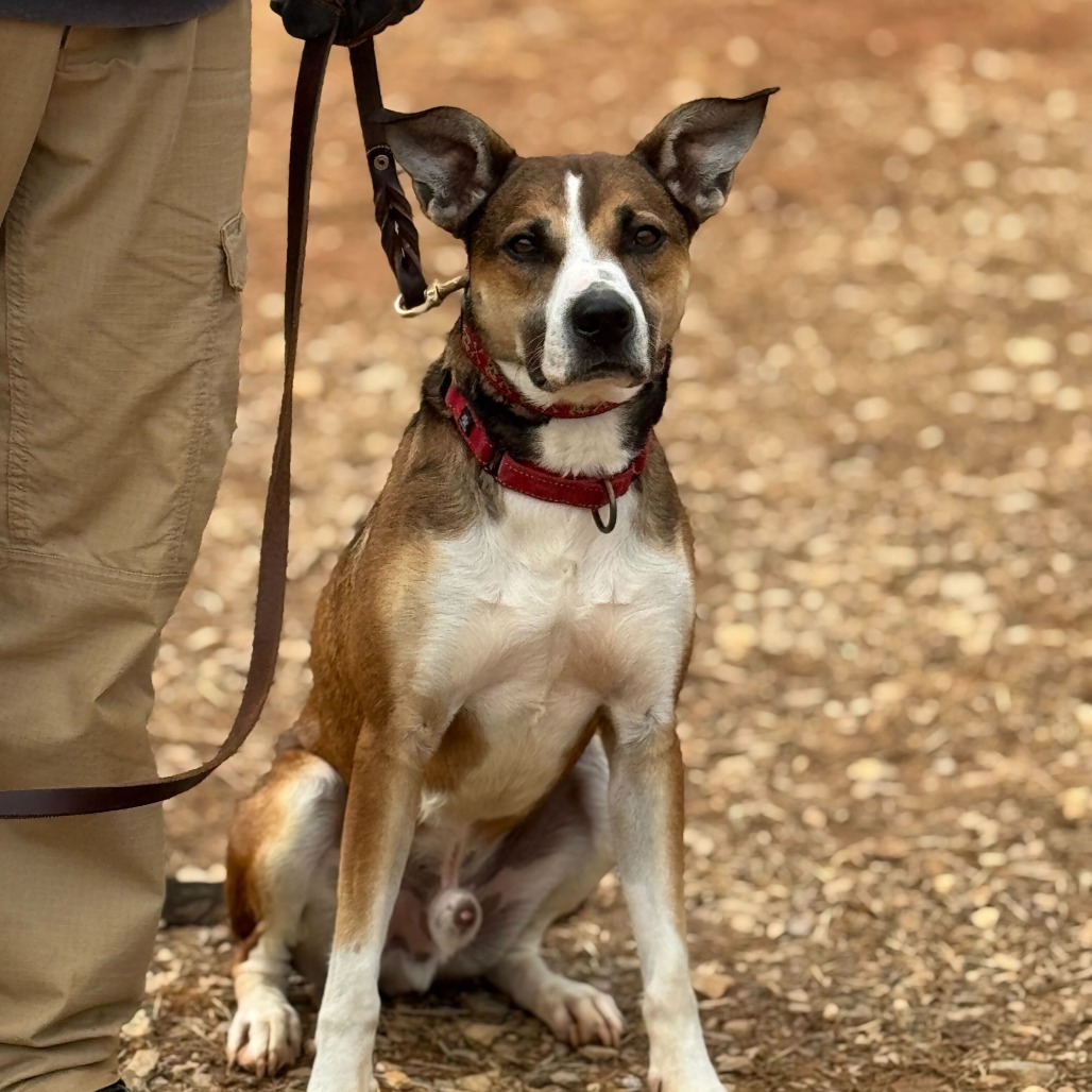 Rhett, photo 21