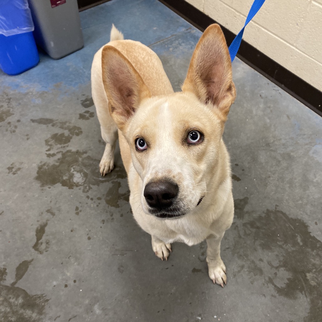 Alice — thumbnail 6