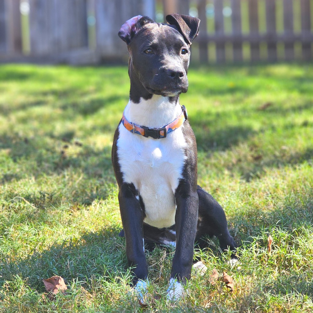 Chaos aka Betty Lu — thumbnail 7