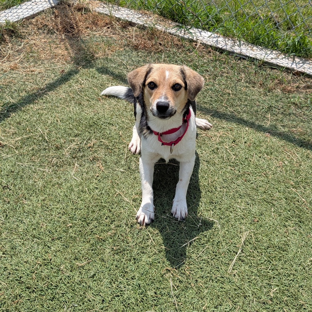 Jackie photo 3