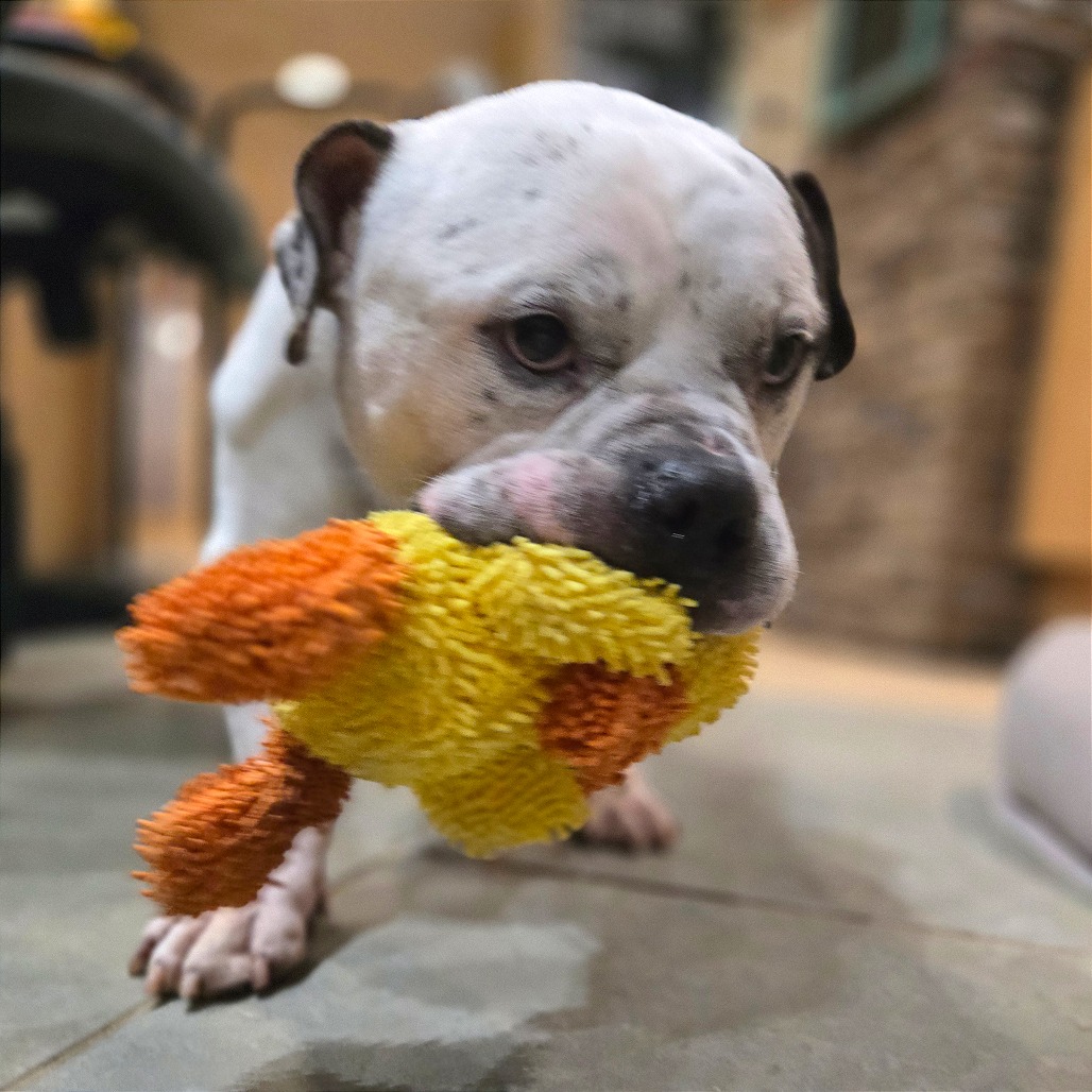 Low Rida — thumbnail 2