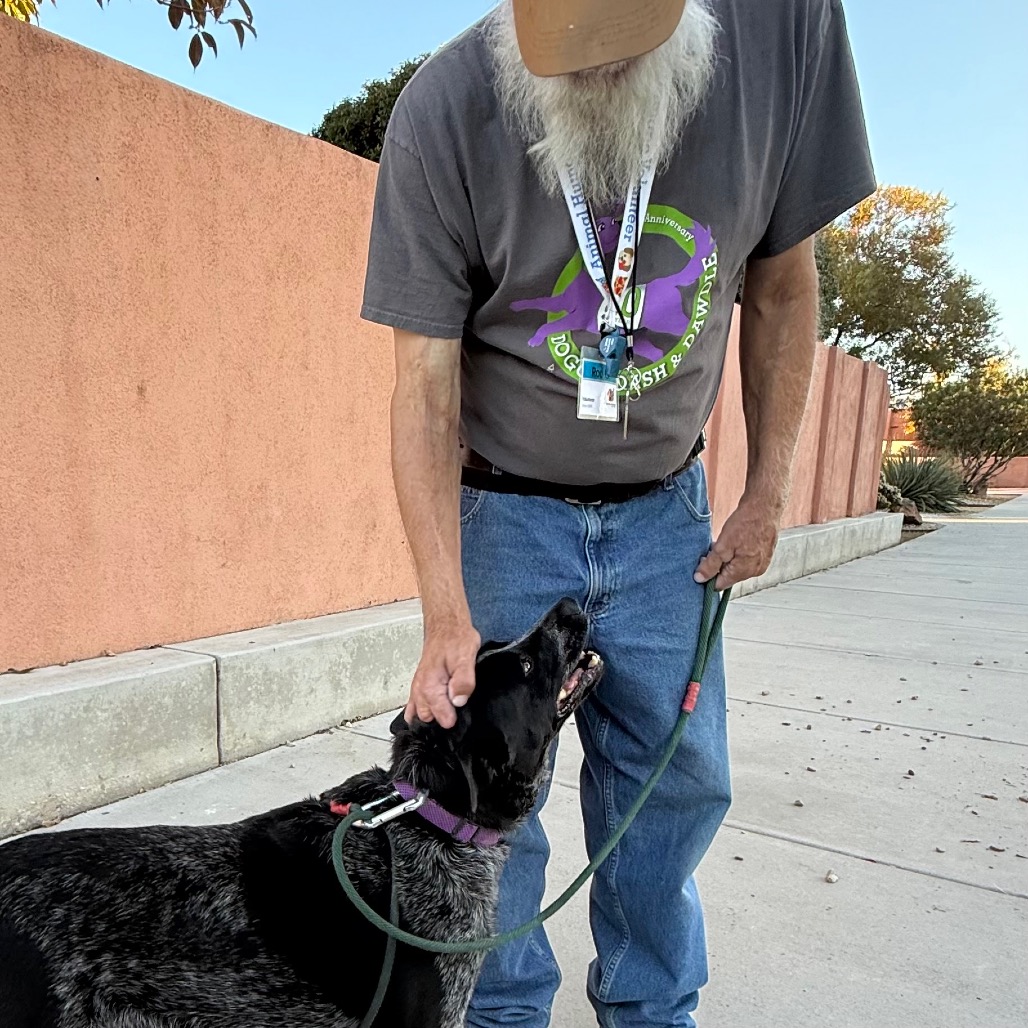 Josie — thumbnail 5