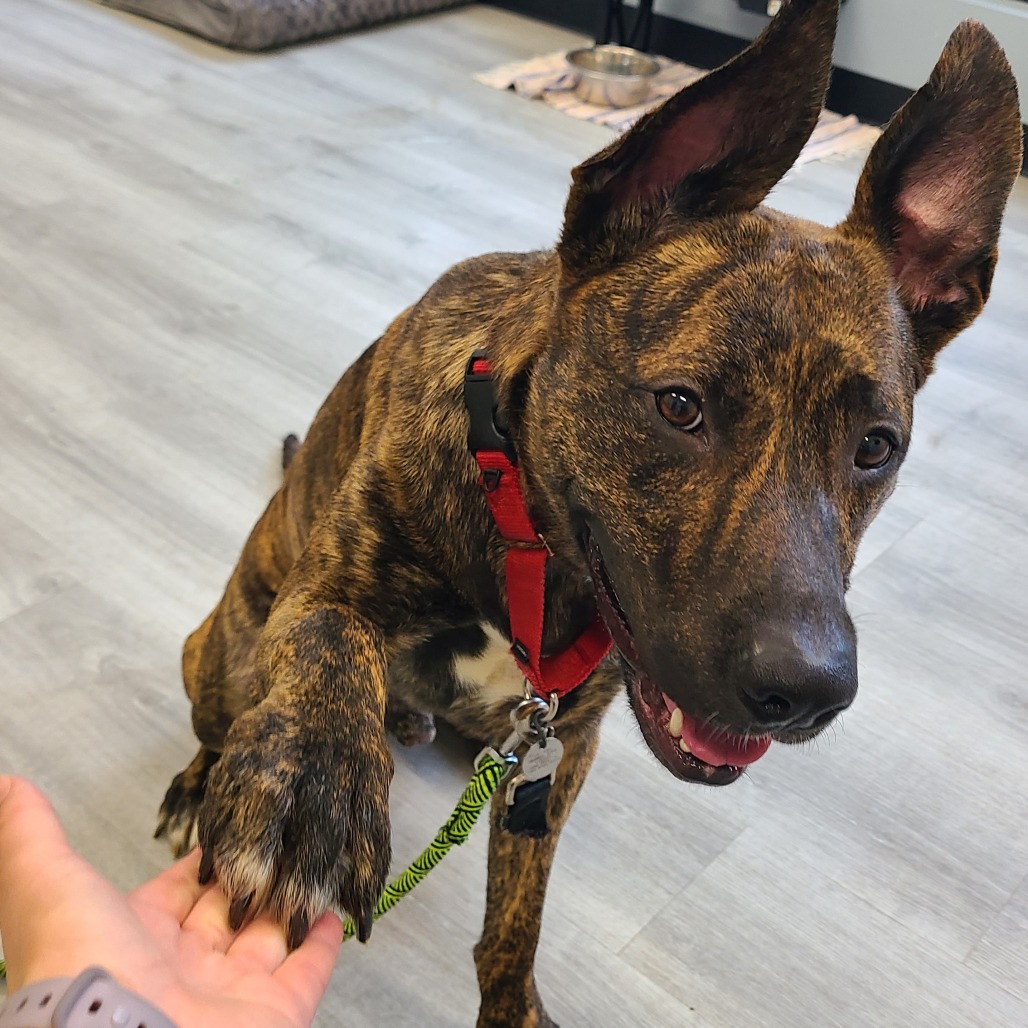 Spencer — thumbnail 5