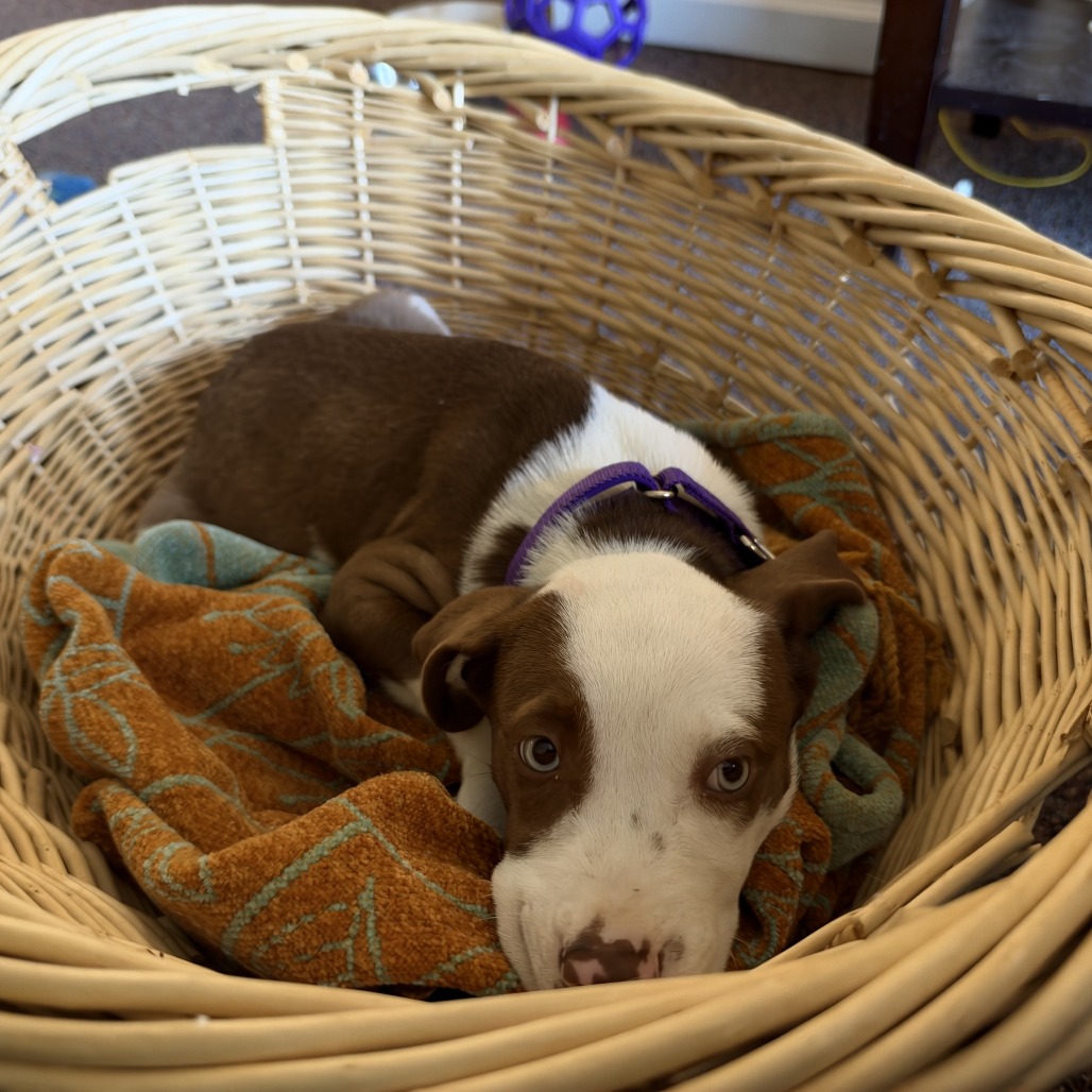 SLEEPY, photo 15