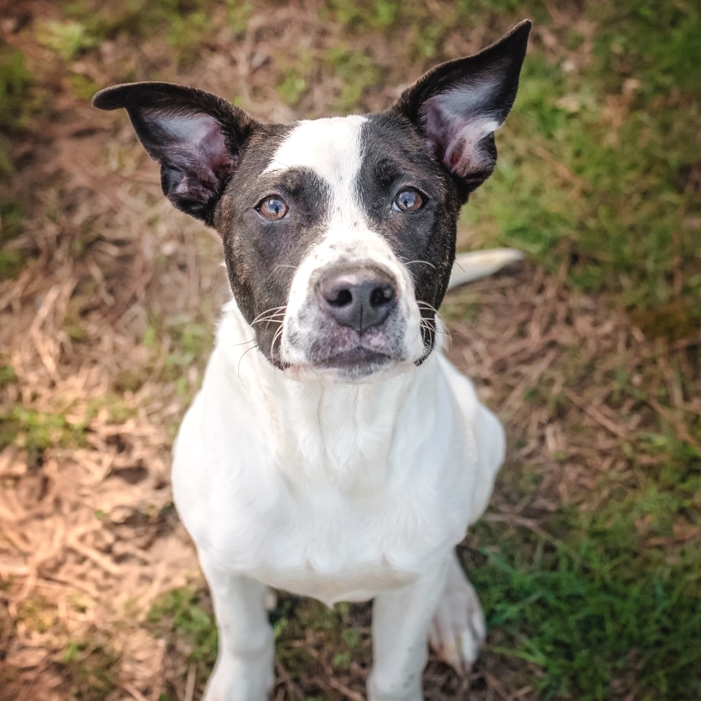 Peter Pan — thumbnail 6