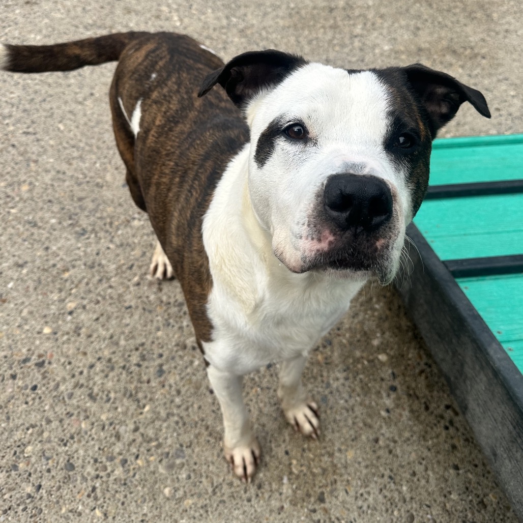 Eastwood aka Rico — thumbnail 3