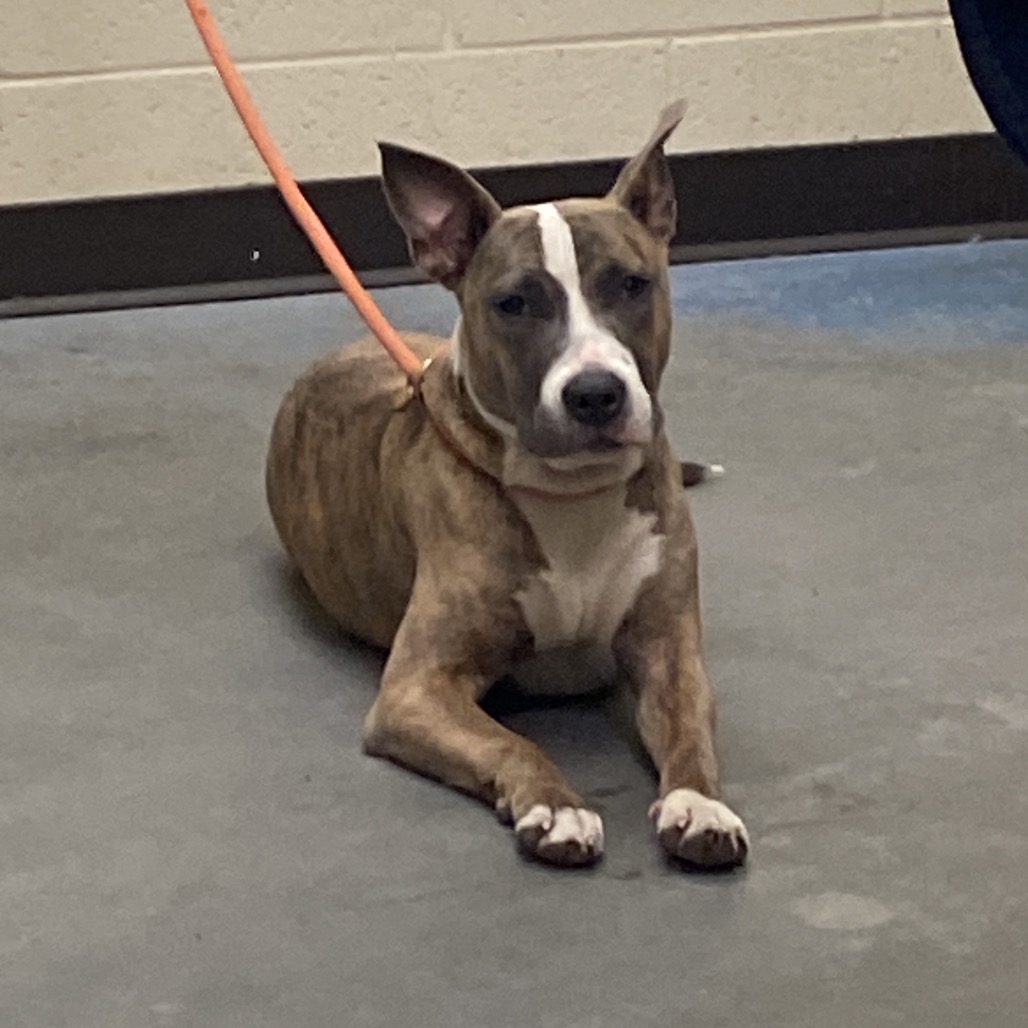 Natalia — thumbnail 2