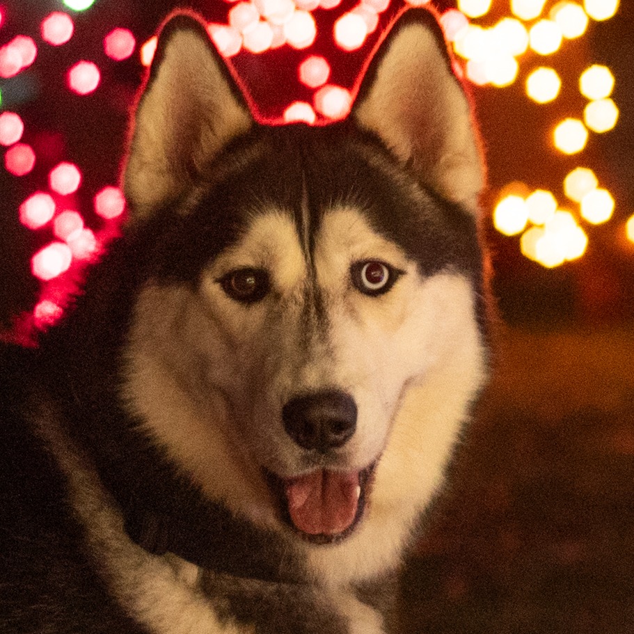 Cedar — thumbnail 2